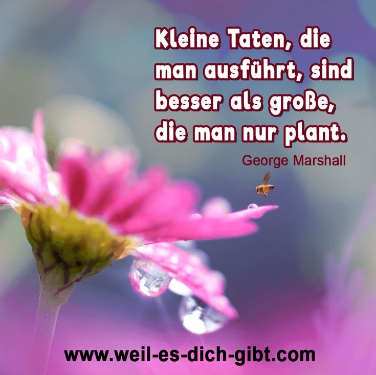 🌻 Zitat Spruch Kleine Taten George Marshall 😍 Weil es dich gibt