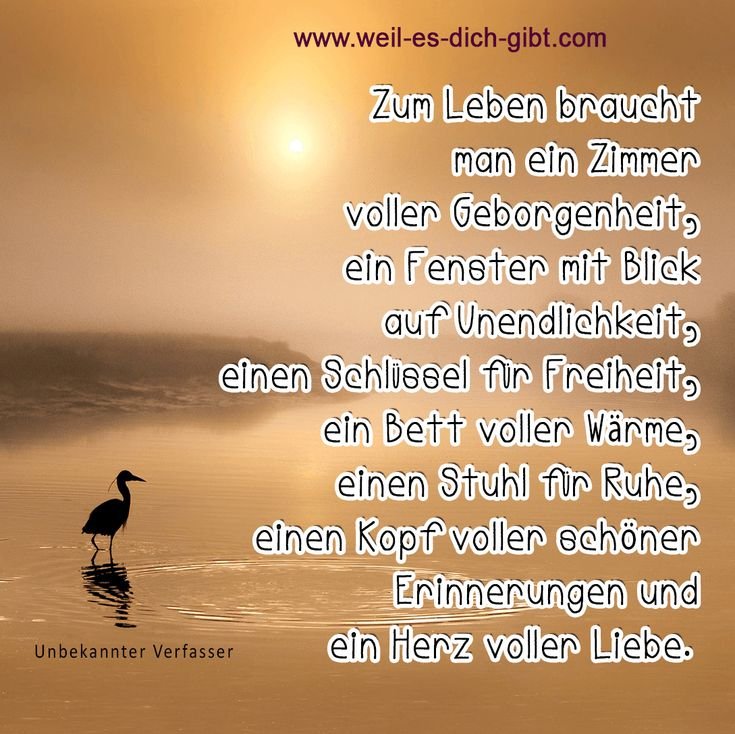 💖 Leben Spruch und Zitat Geborgenheit 😍 Weil es dich gibt