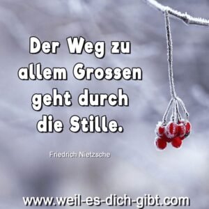 Der Weg zu allem Großen geht durch die Stille – Friedrich Nietzsche