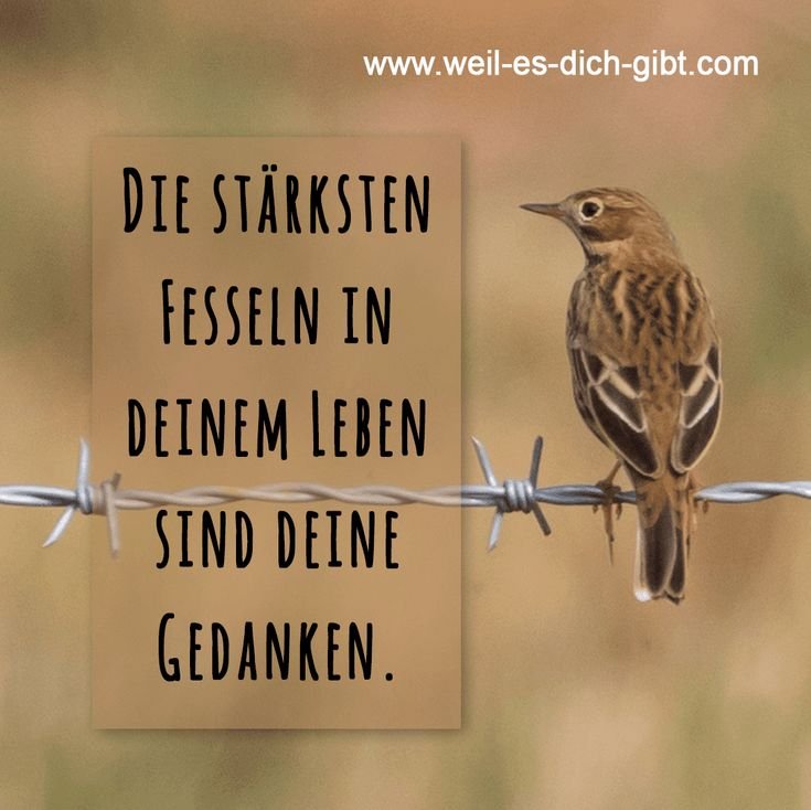💭 Die stärksten Fesseln in deinem Leben sind deine Gedanken: Wie du dich selbst befreist
