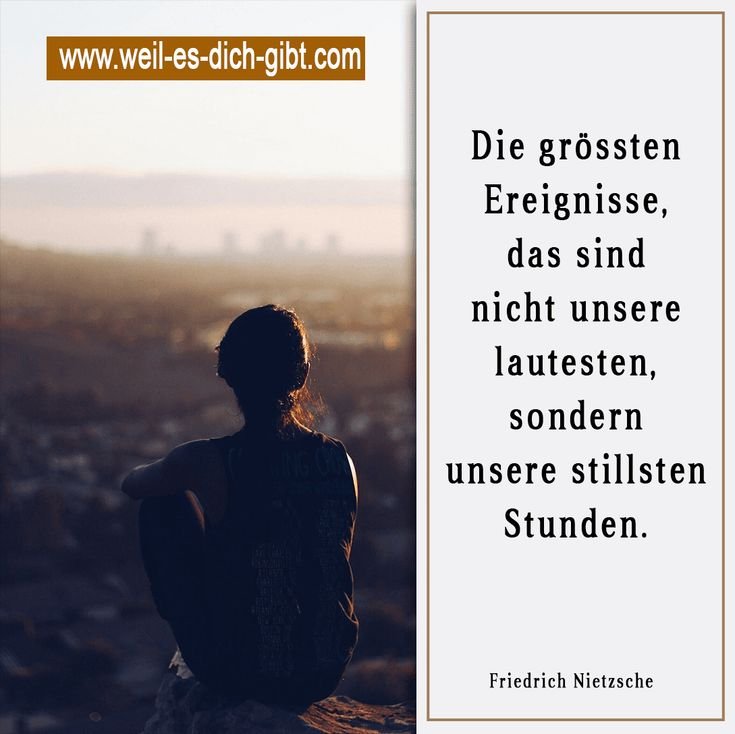 Die größten Ereignisse sind nicht unsere lautesten, sondern unsere stillsten Stunden – Friedrich Nietzsche