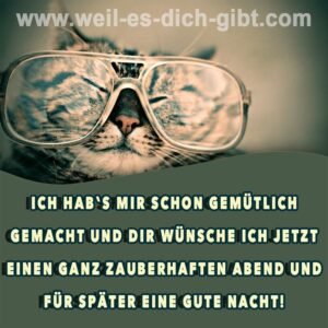 Abendgrüße: Ich hab’s mir schon gemütlich gemacht und wünsche dir einen zauberhaften Abend 🌙✨