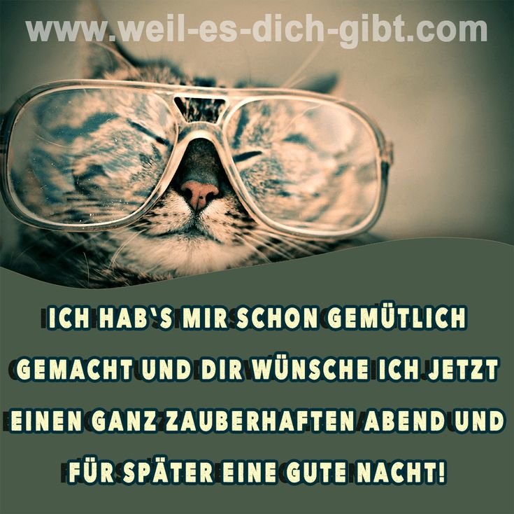 Abendgrüße: Ich hab’s mir schon gemütlich gemacht und wünsche dir einen zauberhaften Abend 🌙✨ | Inspirierende Sprüche & Lebensweisheiten