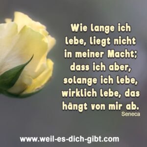 Wie lange ich lebe, liegt nicht in meiner Macht; dass ich aber, solange ich lebe, wirklich lebe, das hängt von mir ab. – Seneca
