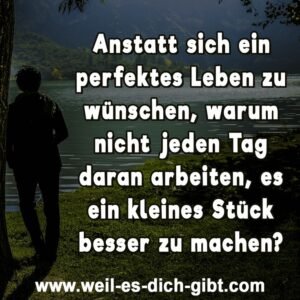 Perfektion ist kein Ziel – sondern eine Illusion. Was wirklich zählt, ist dein nächster Schritt.
