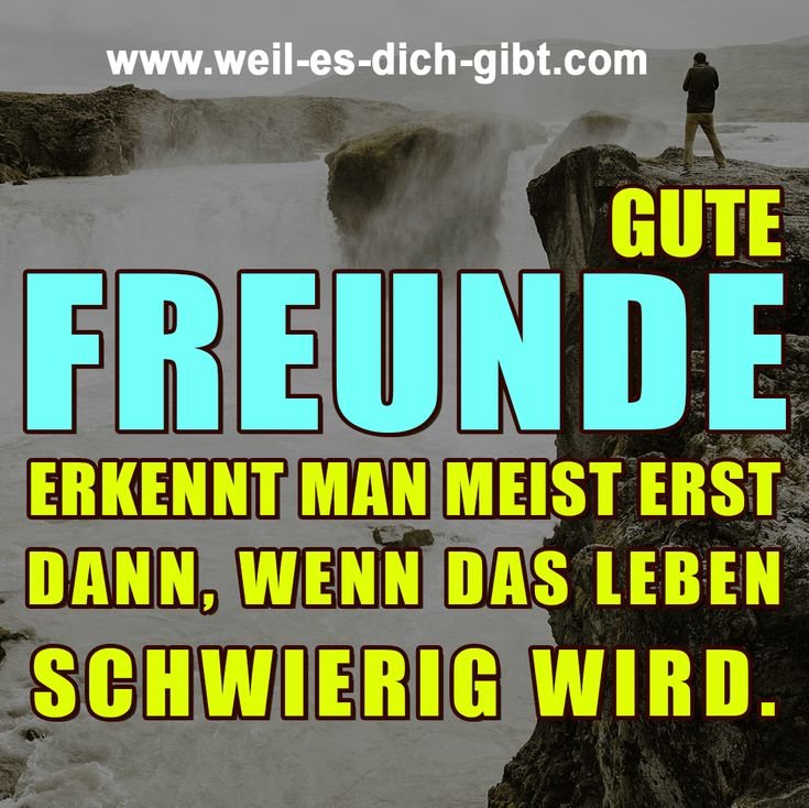 Wahre Freundschaft zeigt sich in schweren Zeiten