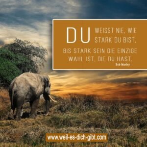 „Du weißt nie, wie stark du bist, bis stark sein die einzige Wahl ist“ – Bedeutung und Lebensweisheit