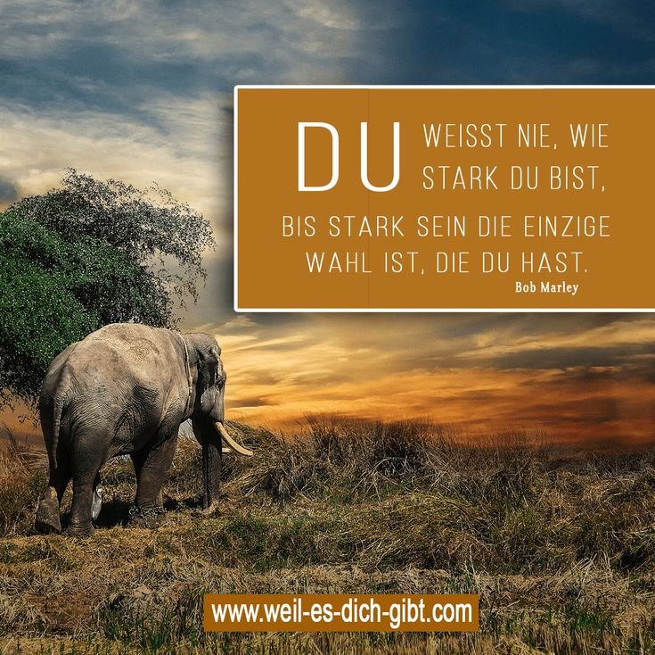 „Du weißt nie, wie stark du bist, bis stark sein die einzige Wahl ist“ – Bedeutung und Lebensweisheit – Das berühmte Zitat von Bob Marley – „Du weißt nie, wie stark... | Inspiration & Gedanken