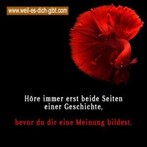 Zwischen Wahrheit und Urteil – Warum wir beide Seiten hören sollten