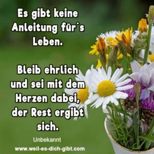 Leben ohne Anleitung – und doch genau richtig.