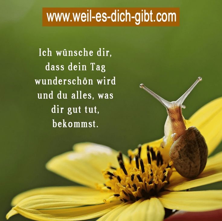 🌞 Ich wuensche dir einen schoenen Tag Alles was dir gut tut Sprueche 😍 Weil es dich gibt