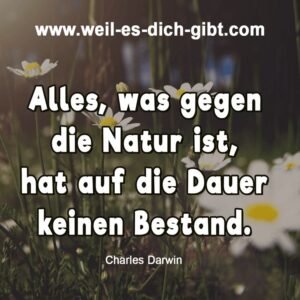 🌿 Gegen die Natur? Keine Zukunft.
