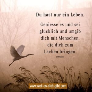 Du hast nur ein Leben – Wie du Glück findest und dich mit den richtigen Menschen umgibst