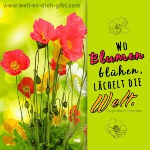 🌸 Wo Blumen blühen, lächelt die Welt – Die tiefere Bedeutung des Zitats von Ralph Waldo Emerson