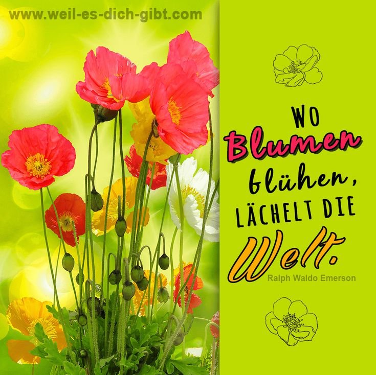 🌸 Bildzitat Zitate und Sprueche Wo Blumen bluehen Ralph Waldo Emerson 😍 Weil es dich gibt