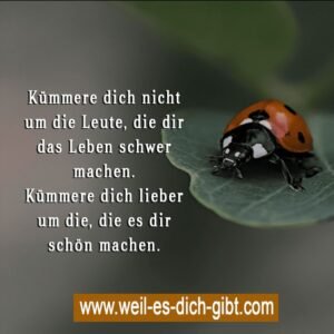 💡 Spruch des Tages: Kümmere dich nicht um die Leute, die dir das Leben schwer machen
