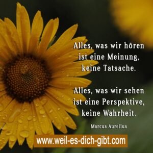 Alles, was wir hören, ist eine Meinung – alles, was wir sehen, ist eine Perspektive