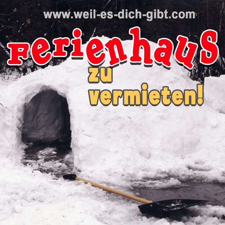 Lustiger Spruch: „Ferienhaus zu vermieten“ – wenn dein Urlaub im Iglo startet ❄️😂