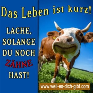 Das Leben ist kurz! Lache, solange du noch Zähne hast!