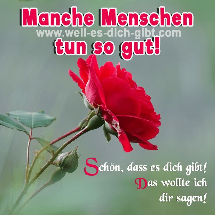 Manche Menschen tun so gut! Schön, dass es dich gibt!