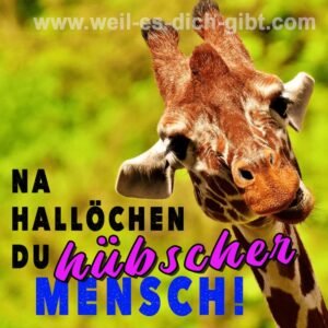 „Na hallöchen, du hübscher Mensch!“ – Warum Komplimente die Welt besser machen