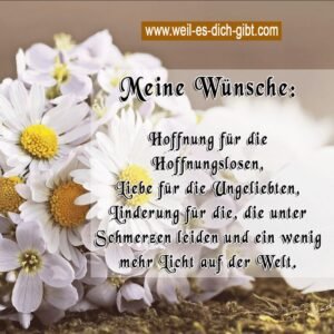 Meine Wünsche: Hoffnung für die Hoffnungslosen, Liebe für die Ungeliebten, Linderung für die, die unter Schmerzen leiden und ein wenig mehr Licht auf der Welt