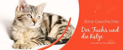 Der Fuchs und die Katze – Eine deutsche Volkserzählung über Klugheit und Bescheidenheit – Autor / Quelle: Deutsche Volkserzählung In der heutigen Welt, in der Klugheit,... | Inspiration & Gedanken