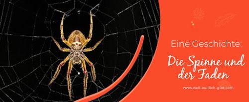 Die Spinne und der Faden „nach oben“ – Eine Geschichte über Struktur, Fokus und Prioritäten – In unserer schnelllebigen Welt hört man oft: „Modernisieren, rationalisieren, anpassen!“ Doch was... | Inspiration & Gedanken