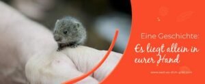 „Es liegt in deiner Hand“ – Eine Parabel über Verantwortung und Weisheit