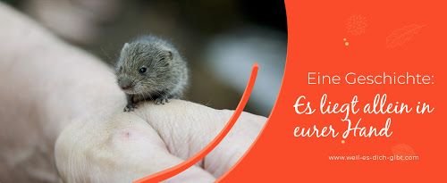 „Es liegt in deiner Hand“ – Eine Parabel über Verantwortung und Weisheit – Einleitung Wir alle stehen im Leben immer wieder vor Entscheidungen: Wie gehe... | Inspiration & Gedanken