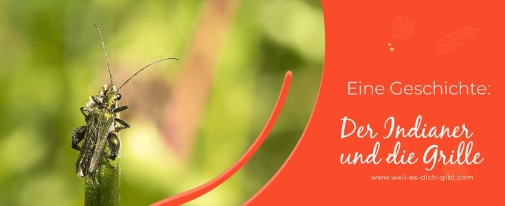 Achtsamkeit: Der Indianer und die Grille – Perfekte Wahl 🙌 – die Geschichte vom Indianer und der Grille ist... | Inspiration & Gedanken