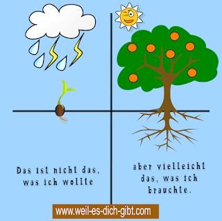 Das ist nicht das, was ich wollte: Warum wir oft genau das bekommen, was wir brauchen – Das ist nicht das, was ich wollte,aber vielleicht das, was ich brauchte.... | Inspiration & Gedanken