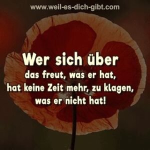 Wer sich über das freut, was er hat, hat keine Zeit mehr, zu klagen, was er nicht hat
