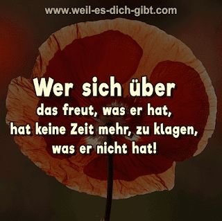 Wer sich über das freut, was er hat, hat keine Zeit mehr, zu klagen, was er nicht hat – „Wer sich über das freut, was er hat, hat keine Zeit mehr,... | Inspiration & Gedanken