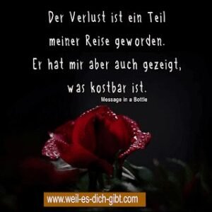 Der Verlust ist ein Teil meiner Reise geworden – Lektionen aus Schmerz und Wertschätzung