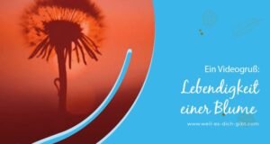 Die Blume, die anders sein wollte – Eine Geschichte über Selbstakzeptanz und Einzigartigkeit