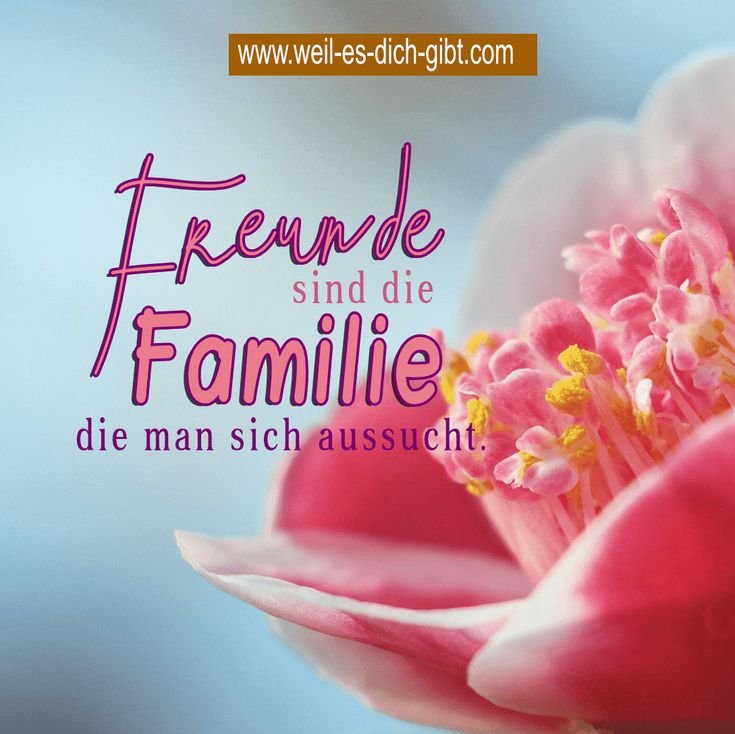 Freunde sind wie Familie, die man sich aussucht – Freundschaft ist eines der wertvollsten Geschenke im Leben. Während wir unsere Familie... | Inspiration & Gedanken