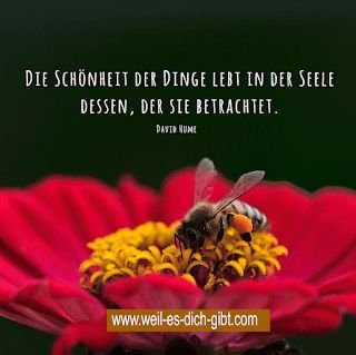Die Schönheit der Welt ist nur für den ruhigen Genuss – Inspiration von Johann Gottfried von Herder – „Die Schönheit der Welt ist nur für den ruhigen Genuss geschaffen.“ –... | Inspiration & Gedanken