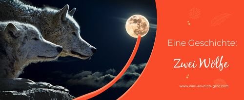 Zwei Wölfe – Die indianische Weisheit über unseren inneren Kampf – Die Geschichte von den zwei Wölfen gehört zu den bekanntesten indianischen Weisheiten.... | Inspiration & Gedanken