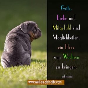 Kisa Gotami und die weißen Senfkörner – Eine buddhistische Kurzgeschichte über Tod, Vergänglichkeit und das Loslassen