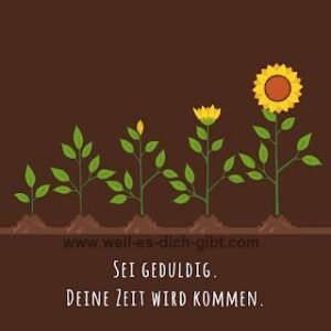 Sei geduldig, deine Zeit wird kommen.