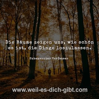 Bäume Zeigen Uns Wie Schön Es Loszulassen Tiefe Lektion Herbstes Für Unser Leben - anschauliche Darstellung