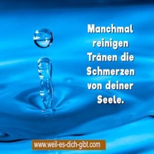 Die Goldfischglas-Metapher: Wie du dein Leben nach den wichtigen Steinen ordnest