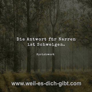 Visualisierung: Antwort Für Narren Schweigen Zeitlose Macht Weisen Zurückhaltung