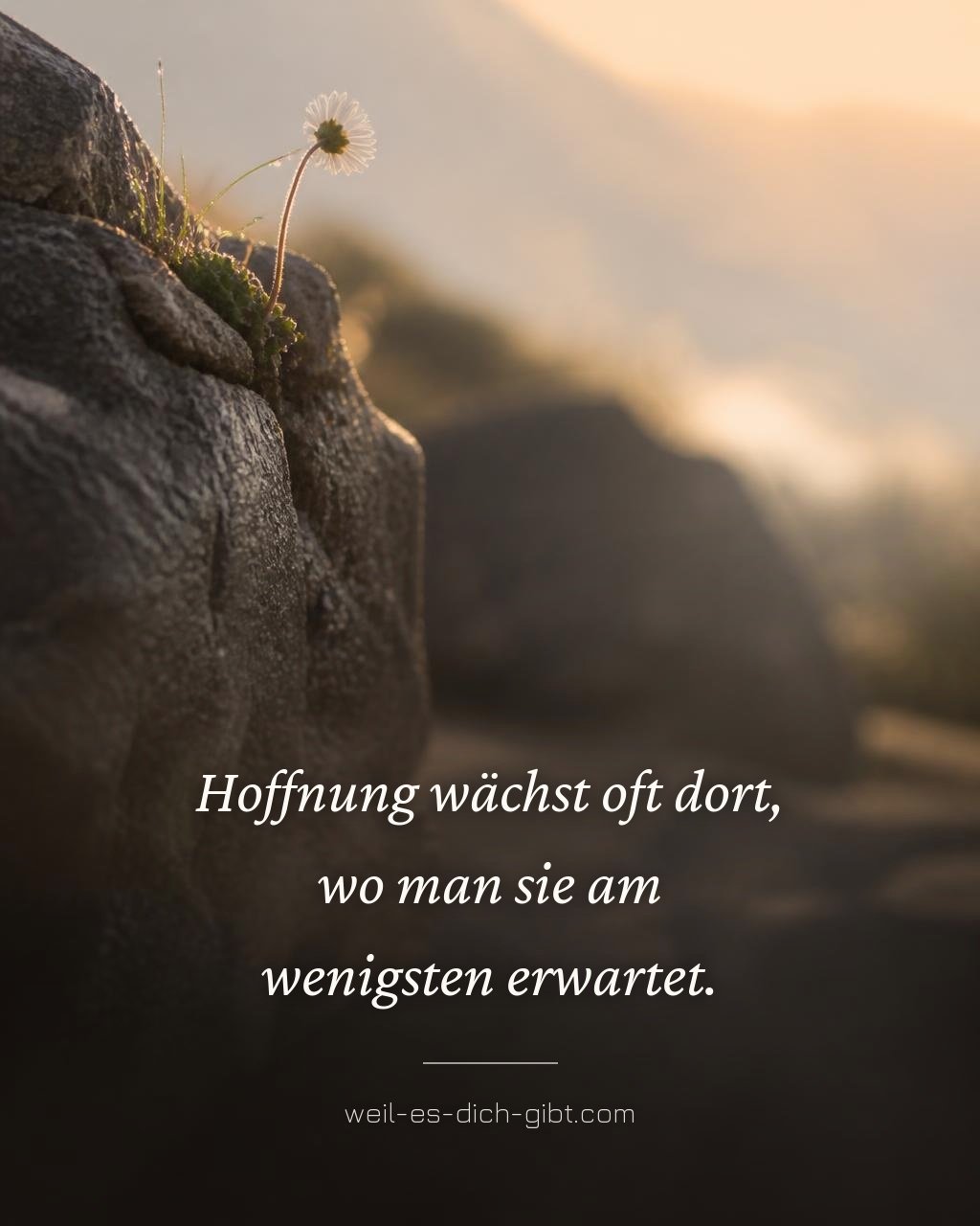 Hoffnung Wächst Oft Dort Wo Man Sie Am Wenigsten Erwartet - anschauliche Darstellung